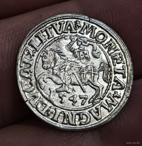 Полугрош 1547 года