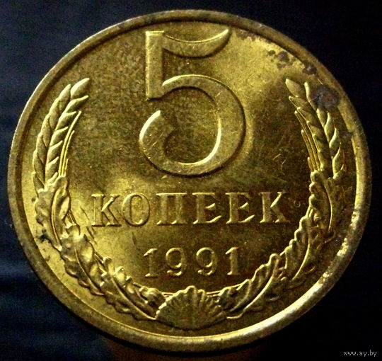 5 копеек 1991 Л (1)