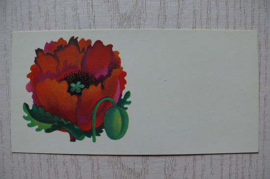 Витола С., Поздравительная открытка, Рига, 1979, мини-формат, чистая