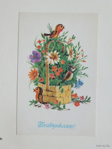 Шабанов поздравляю 1991 9х14  см