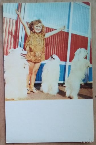 Панярский В. Маленькая дрессировщица. Дети 1969. Чистая.