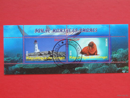 Конго 2010г. Фауна. Маяк.