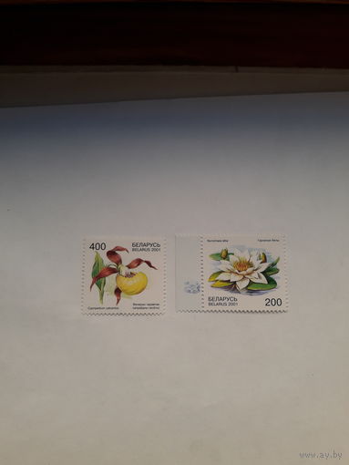 Марки Беларусь 2001 Цветы