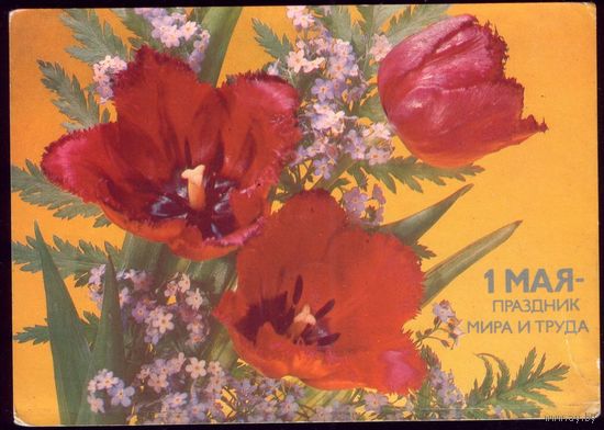 1986 год И.Дергилёв 1 мая - праздник мира и труда