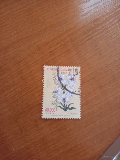 1997 Турция флора цветы (4-6)
