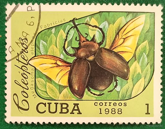Куба 1988. Жук-слон