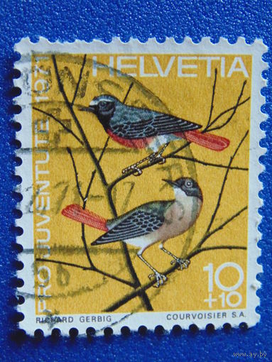 Швейцария 1971 г. Птицы.