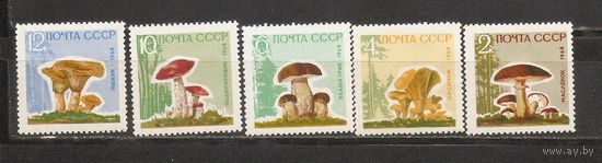 ФФ1 СССР 1964 Грибы