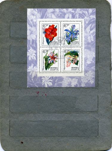 СССР, 1971,  почт.  блок 76,ТРОПИЧ РАСТЕНИЯ, гашен