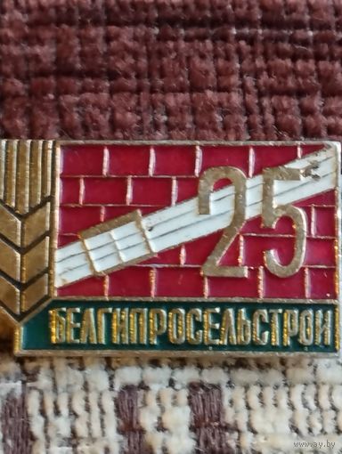 Белгипросельстрой 25 лет.