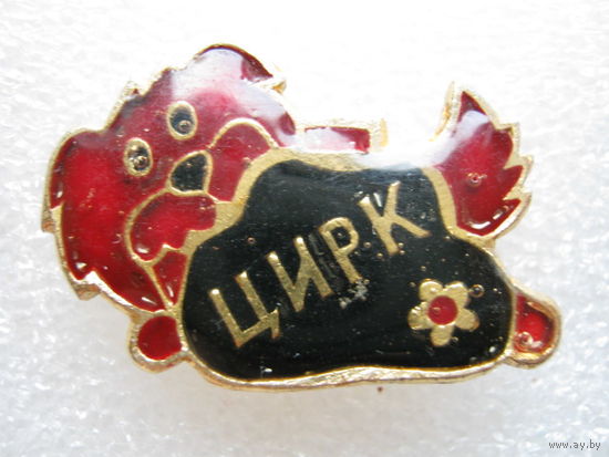 Цирк.