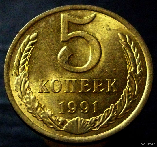 5 копеек 1991 Л (3)