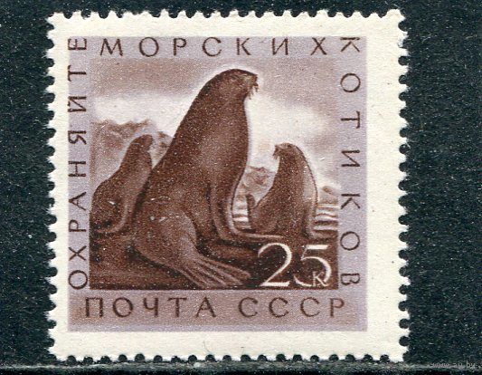 СССР 1960. Морской котик
