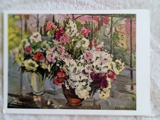 Цветкова. Флоксы