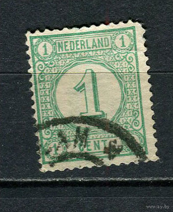 Нидерланды - 1876 - Цифры 1С - (есть тонкое место и надрыв) - [Mi.31aF] - 1 марка. Гашеная.  (Лот 14Jo)-T4P15