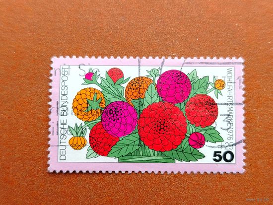 Германия. Флора. ( 1 марка ) 1976 года. 4-16.