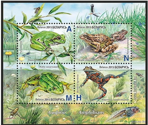 2015г Беларусь MNH Малый лист "Амфибии"