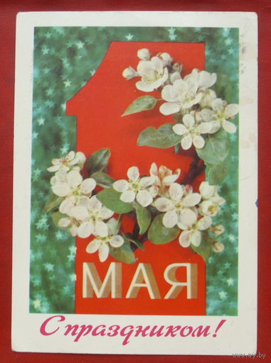 1 мая! Подписанная. 1977 года. Дергилев. 638.