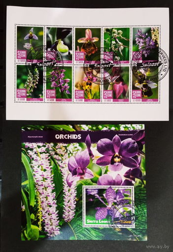 ЛИСТ ФЛОРА ЦВЕТЫ ГРИБЫ  СТО