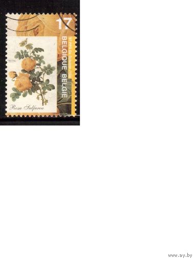 Бельгия-1997 (Мих.2761) ,  гаш. , Флора, Цветы