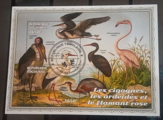 ЛИСТ ФАУНА ПТИЦЫ  СТО