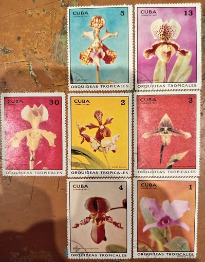 Куба 1971. Тропические орхидеи. Полная серия