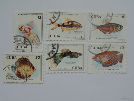 Куба 1978г. Морская фауна.