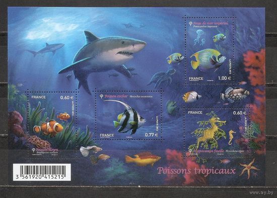 ФФ3 Франция 2012 Рыбы