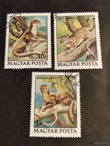 Венгрия 1979 3 м дик.животные