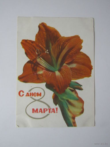 С днём 8 марта! подписана 1965 год фото А. и М. Ананьиных