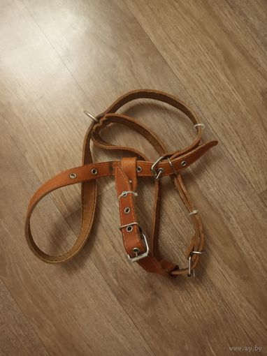 Шлейка для собак