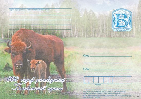 Беларусь 2009 ПК 600 лет заповедности Беловежской пущи Зубры (к5)