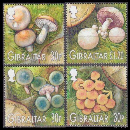 2003 Гибралтар 1054-57 Грибы 6,00 евро