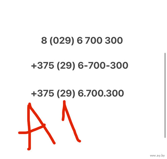 Красивый номер А1 (29) 6 700 300