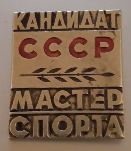 Кандидат в мастера спорта СССР. Самодельная заколка.
