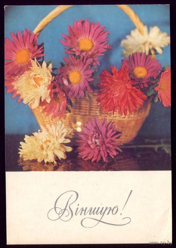 1978 год А.Чумак Вiншую!