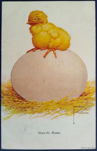 Весь в маму. Лоусон Вуд. Германия. Венгерская почта. Начало 20-го века.