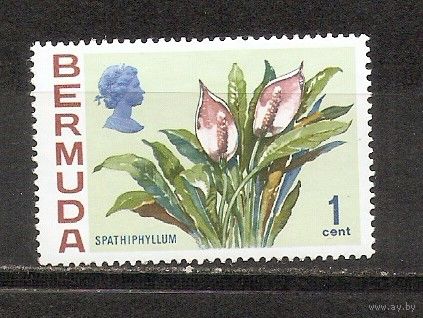 ФФ2 Бермуды 1970 Цветы