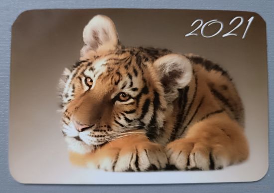 Тигренок. Календарик, 2021