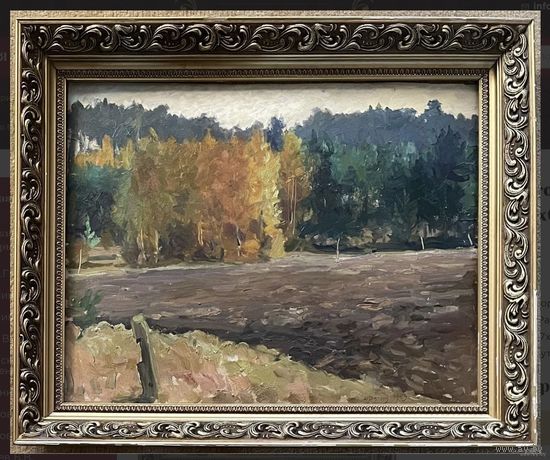 Дучиц Н.В;Земля белорусская;57/68см.с родной рамой;63г;к/м;45/58см