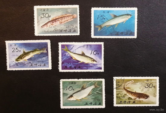 КНДР. Северная Корея 1975 г. Пресноводные рыбы. Фауна, полная серия из 6 марок #0226-Ф1P44