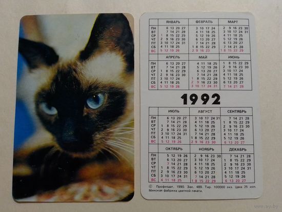 Карманный календарик. Котик.1992 год
