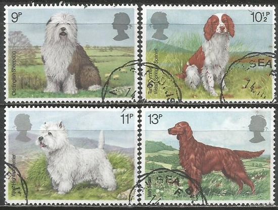 Британия. Собаки. 1979г. Mi#781-84. Серия.