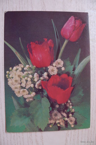Дергилев И., Композиция; 1989, 1990, чистая.