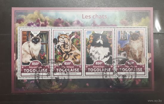 Того. 2016 год. Фауна. Кошки. Блок (малый лист 4 марки) (739)