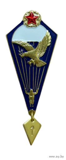 Знак Парашютист ВС РБ