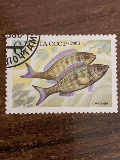 СССР 1983. Смарида. Марка из серии