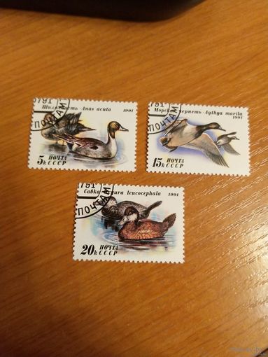 1991 СССР Загорский 6268-6270 гашеная полная серия MNH** фауна птицы (c-8)