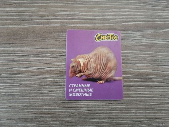 Карточка Cheetos странные и смешные животные