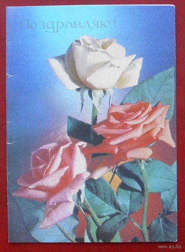 Поздравляю! Подписанная. Двойная. 1991 года. Губина. 942.